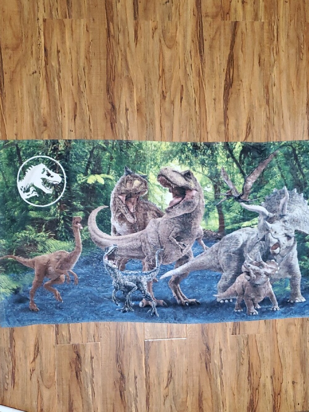 Jurassic World Dinosaur Beach Towel Bath Towel